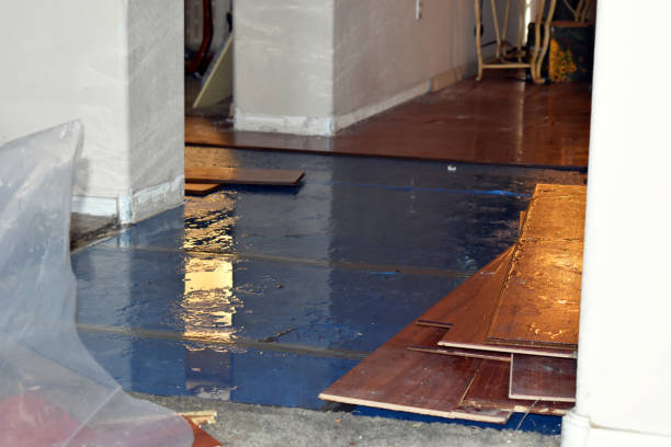 Professional Emergency Water Damage Restoration technician working in Elizabeth, CO