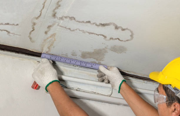 Reliable Emergency Water Damage Restoration contractor in Elizabeth, CO by Water Damage Irwin